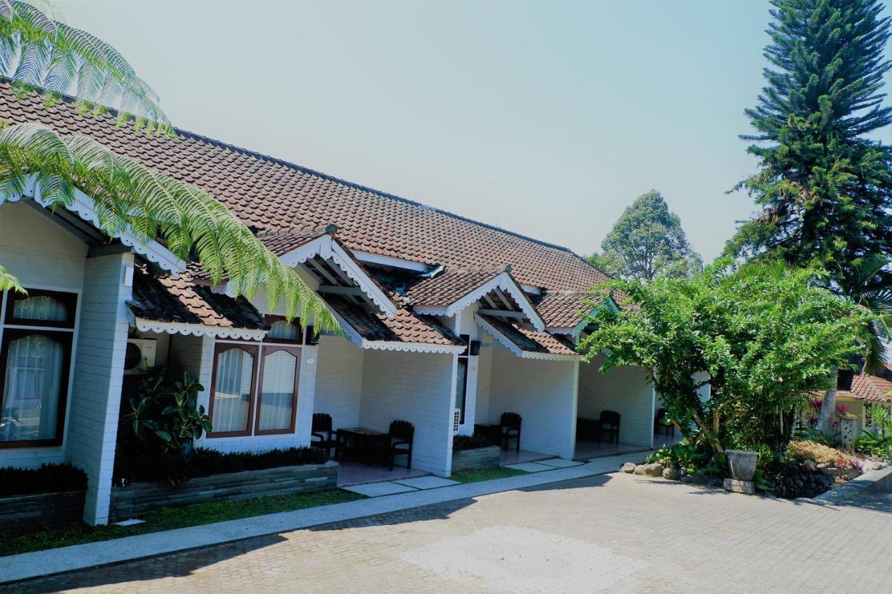 בניוואנגי Hotel Minak Jinggo מראה חיצוני תמונה